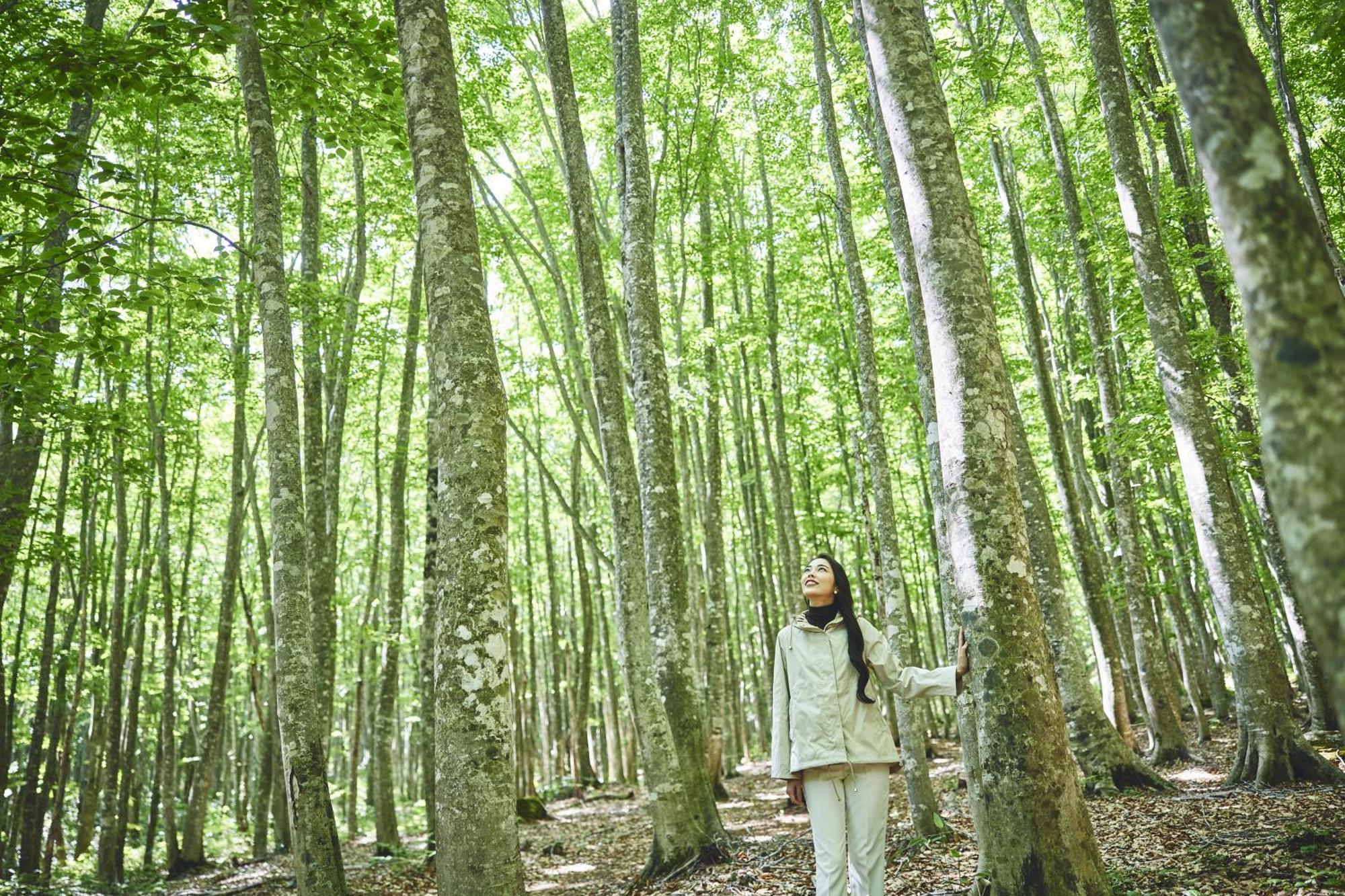 Ana Intercontinental Appi Kogen Resort By Ihg Hachimantai  Luaran gambar